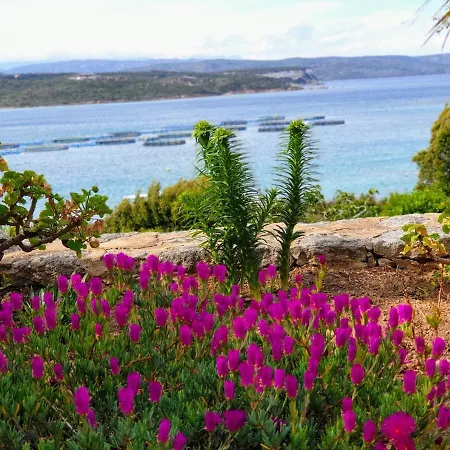Daire A Mare T3 Vue Sur Mer, Au Pied Des Plages